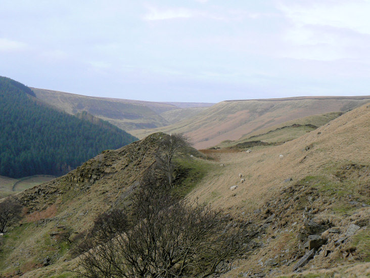 Alport Dale Alport Dale